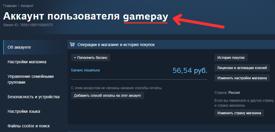 Пример, где посмотреть логин Steam